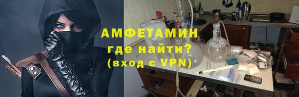 молекула духа Арсеньев