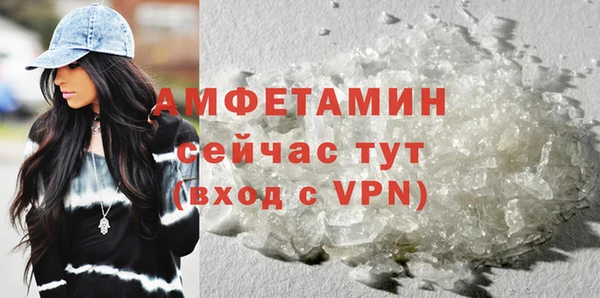 молекула духа Арсеньев