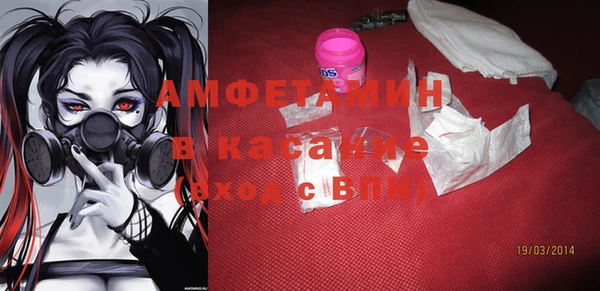молекула духа Арсеньев