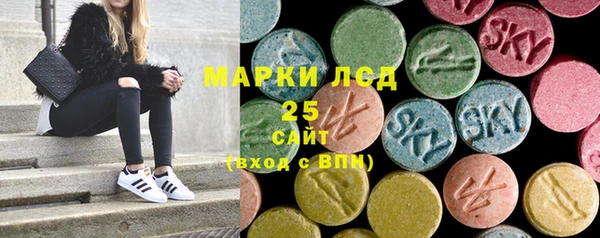 молекула духа Арсеньев