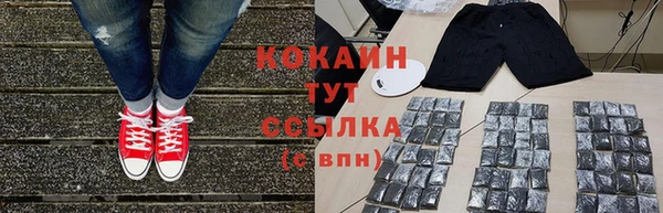 круглые Аркадак